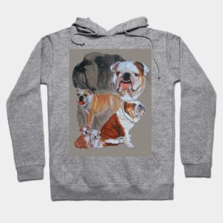 English Bulldog Medley Hoodie